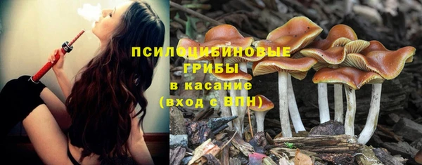 каннабис Арсеньев