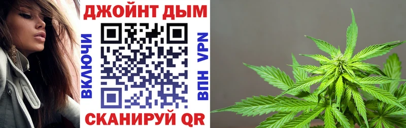 где найти наркотики  Багратионовск  Бошки марихуана тримм 